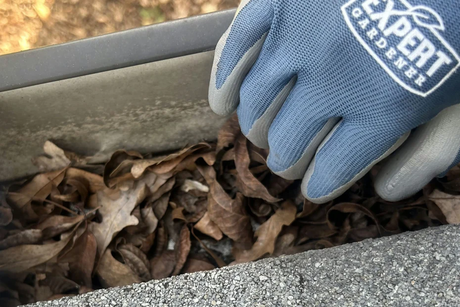 Gutter Cleaning Decatur GA