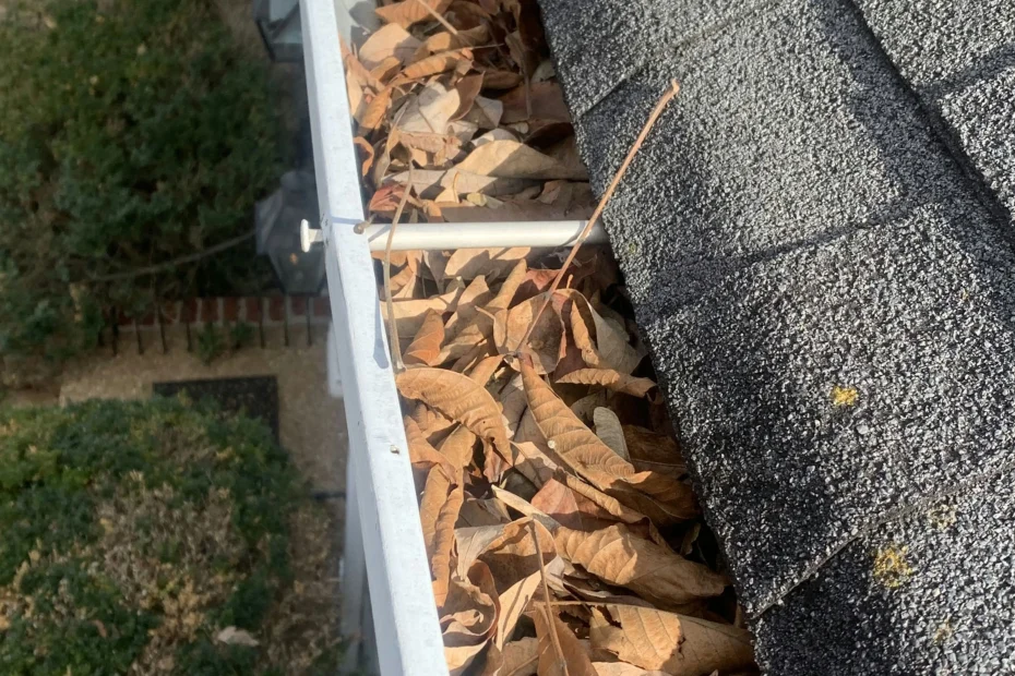 Gutter Cleaning Decatur GA